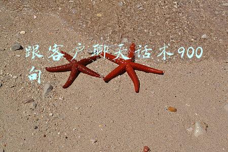 跟客户聊天话术900句