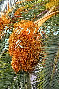 芝麻分574到600要多久