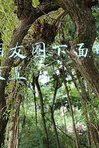 微信朋友圈下面的签名怎么设置