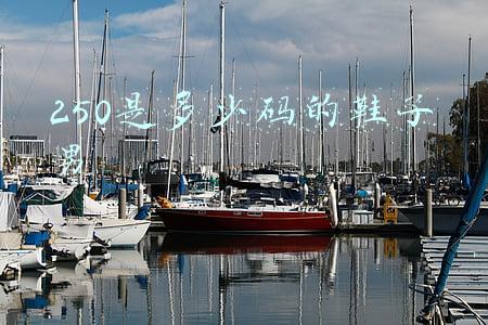 运动鞋250是多少码的鞋子男(国外创投新闻 | 日本头部运动鞋转售平台「SODA」获5670万美元C轮融资，由软银领投)