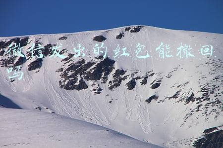 微信发出的红包能撤回吗