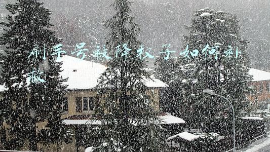 刷手号被降权了如何补救