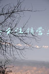 网上怎么注销营业执照
