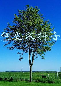 如何更改抖音号