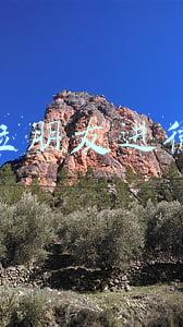 微信怎样拉朋友入群(让顾客主动添加微信的这几个方法你会吗？)