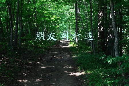 朋友圈打造