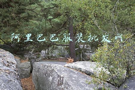 阿里巴巴服装批发网