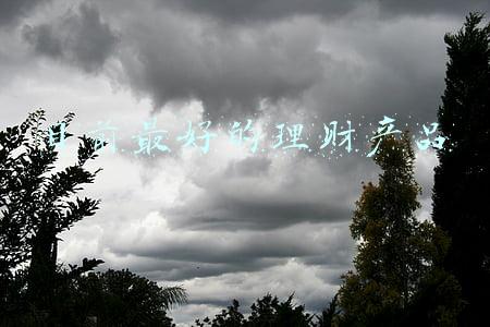 目前最好的理财产品