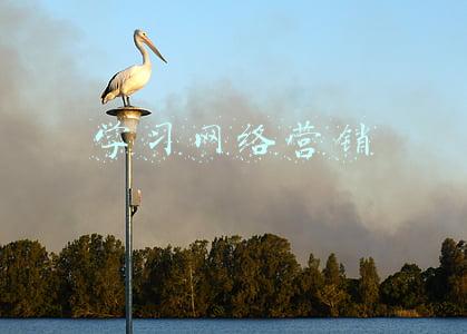 网络运营培训班(广西阳朔县总工会举办网络新媒体运营培训班)