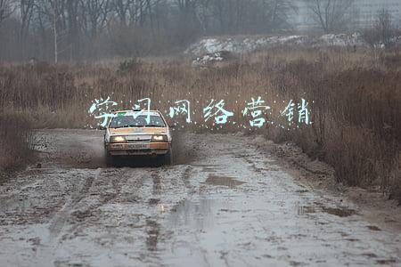 学习网络营销