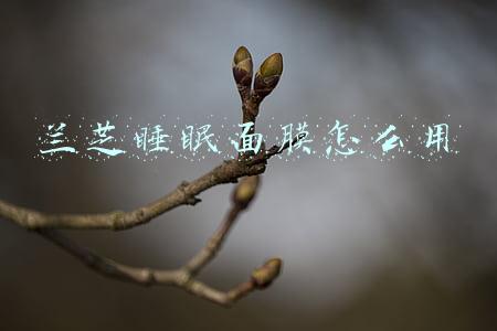 兰芝睡眠面膜怎么用