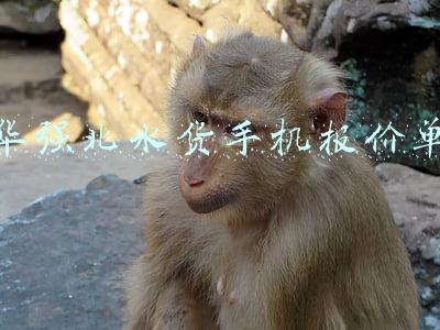 华强北水货手机报价单