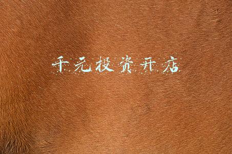 千元投资开店