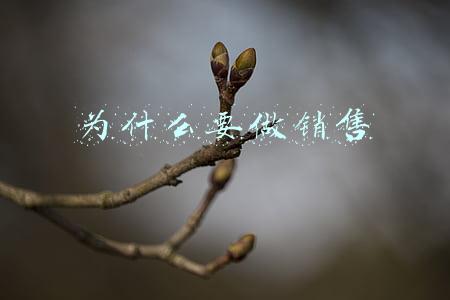 为什么要做销售
