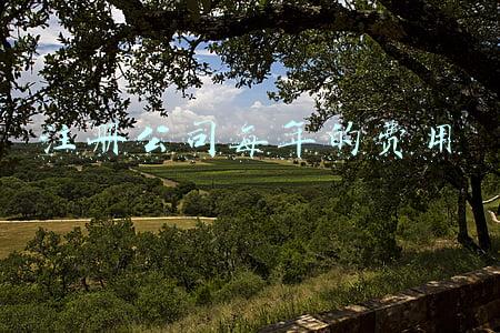 注册小公司一年费用(个人创业要不要注册公司，注册公司每年会产生哪些费用呢？)