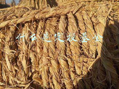 什么是定投基金
