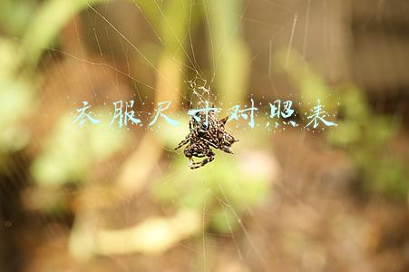 衣服尺寸对照表