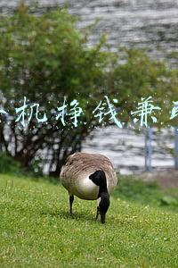 免费手机挣钱兼职(真正免费靠谱的手机兼职，宝妈\\学生党必做)