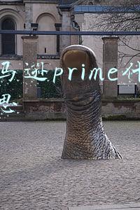 亚马逊prime什么意思