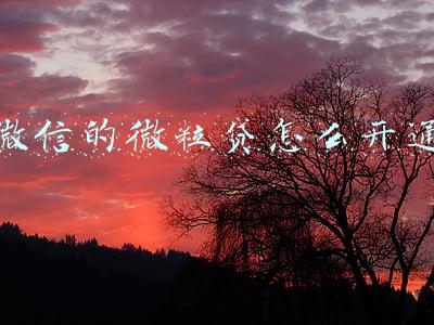 微信的微粒贷怎么开通