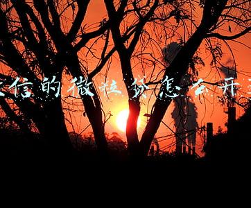微信的微粒贷怎么开通