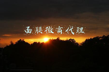 面膜微商代理