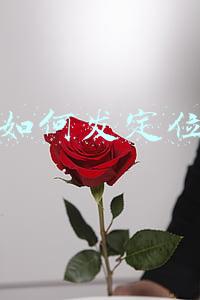 如何发定位