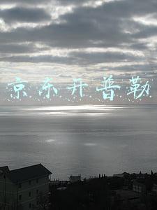 京东开普勒
