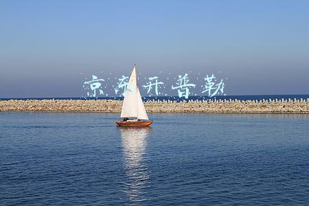 京东开普勒