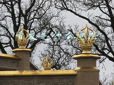 首发是什么意思