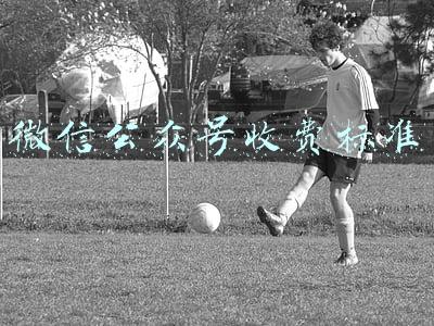 微信公众号收费标准