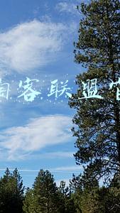 大淘客联盟官网