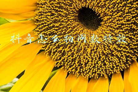 抖音怎么拍同款特效
