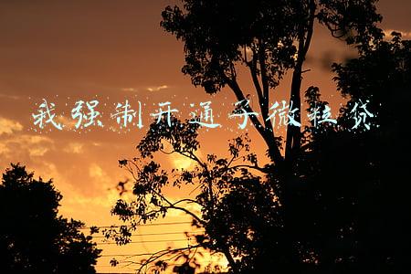 我强制开通了微粒贷