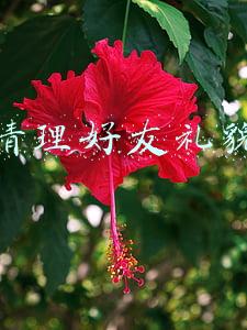 微信清理好友礼貌句子