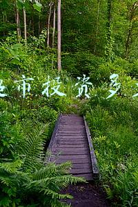 农村开超市投资多少钱(农村三人行超市收益分析及建议)