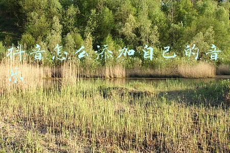 抖音怎么添加自己的音乐