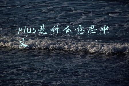 plus是什么意思中文