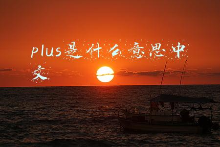 plus是什么意思中文