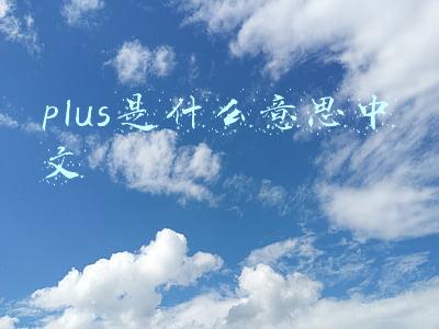 plus是什么意思中文