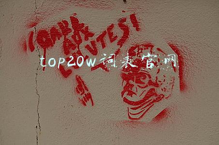 top20w词表官网