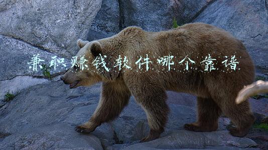 兼职赚钱软件哪个靠谱 兼职赚钱软件哪个靠谱