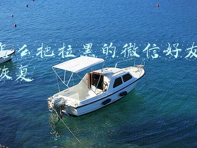 怎么把拉黑的微信好友恢复oppo(不小心删除的数据怎么找回？最新信息备份教程都在这了……)