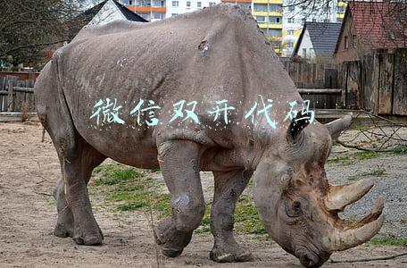 微信双开代码