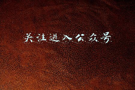 关注进入公众号