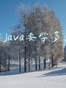 学java要学多久