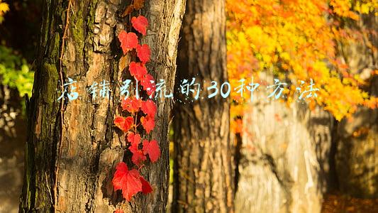 店铺引流的两大基本方法是什么(解读门店引流的6个基本框架，以及在服务业门店的具体落地方法)