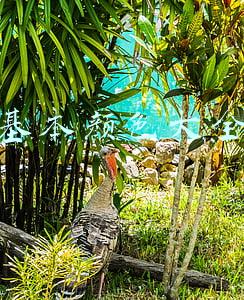 基本颜色大全