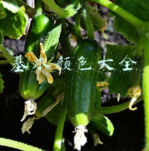 基本颜色大全