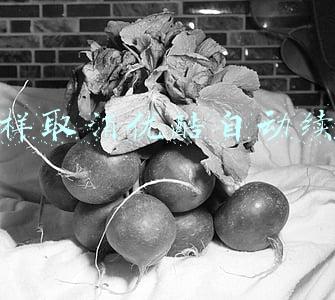 怎样取消优酷自动续费